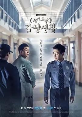 电视剧全集 周更模式行业分析