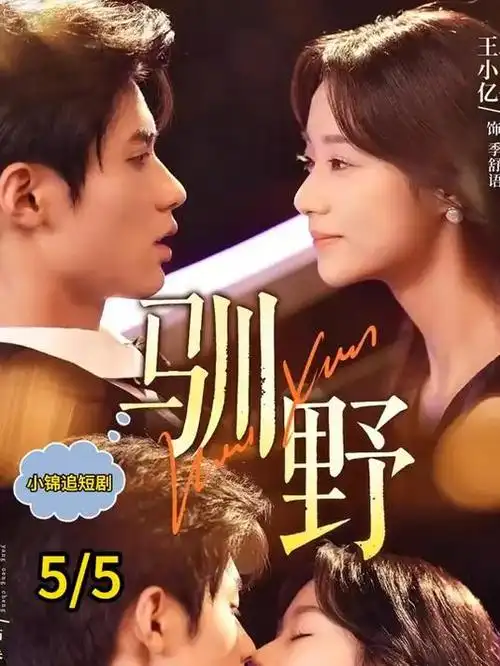 三十七楼的灯 都市电视剧全集在线观看